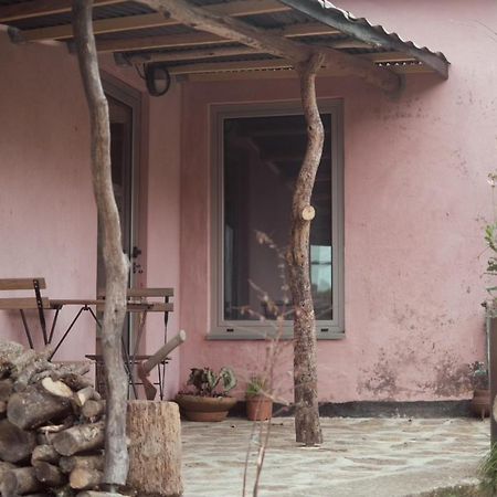 Cabana Do Dinamarques Em Arga De Baixo Exteriör bild